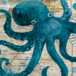 Buy an Octopus Beach Towel, Terry Cloth, 63” x 32” at The Surf Haberdashery